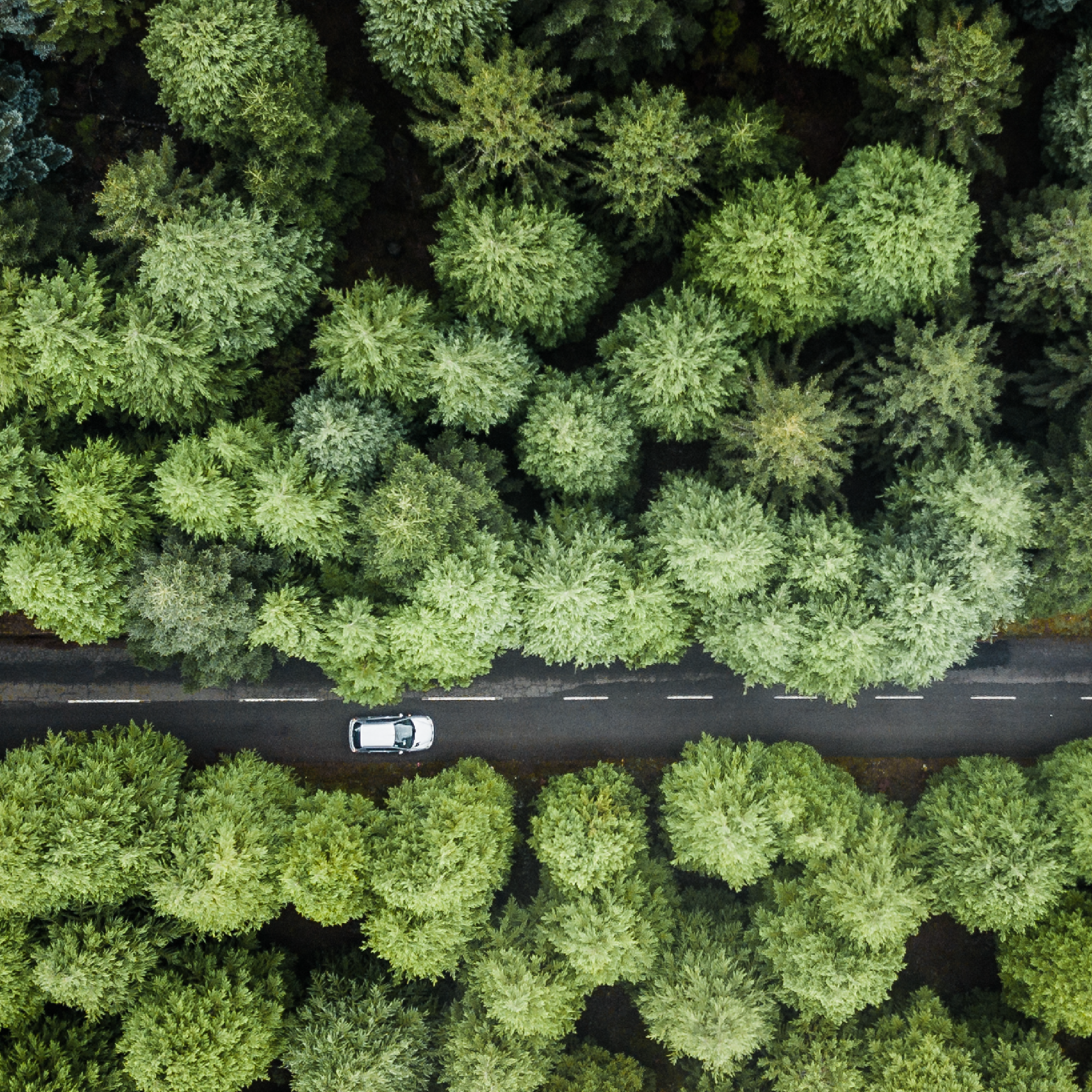 Gruun-inspiratie-header-04